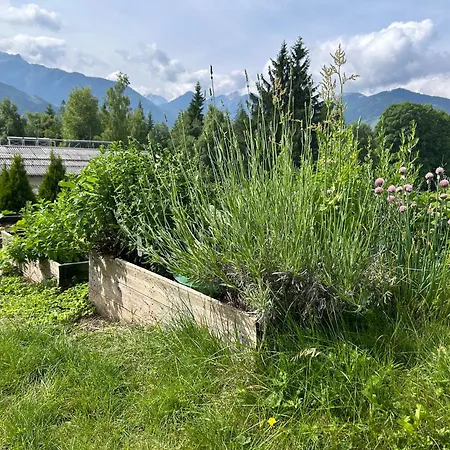 Apartment Blaue Lagune Ramsau am Dachstein